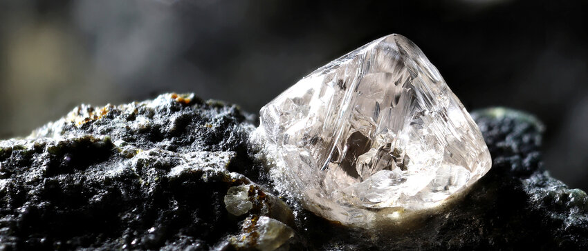 shutterstock_1608584494_edited.jpg